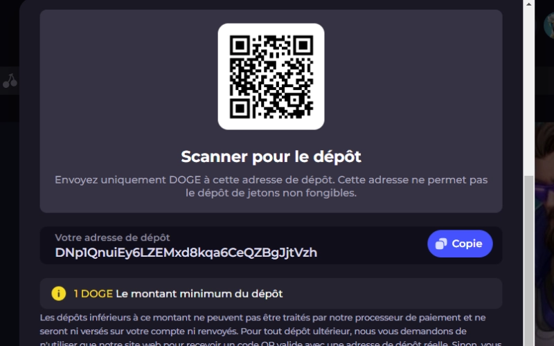 dépôt avec dogecoin étape 4
