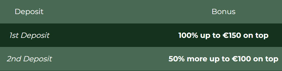 capture d'écran bonus dublinbet casino