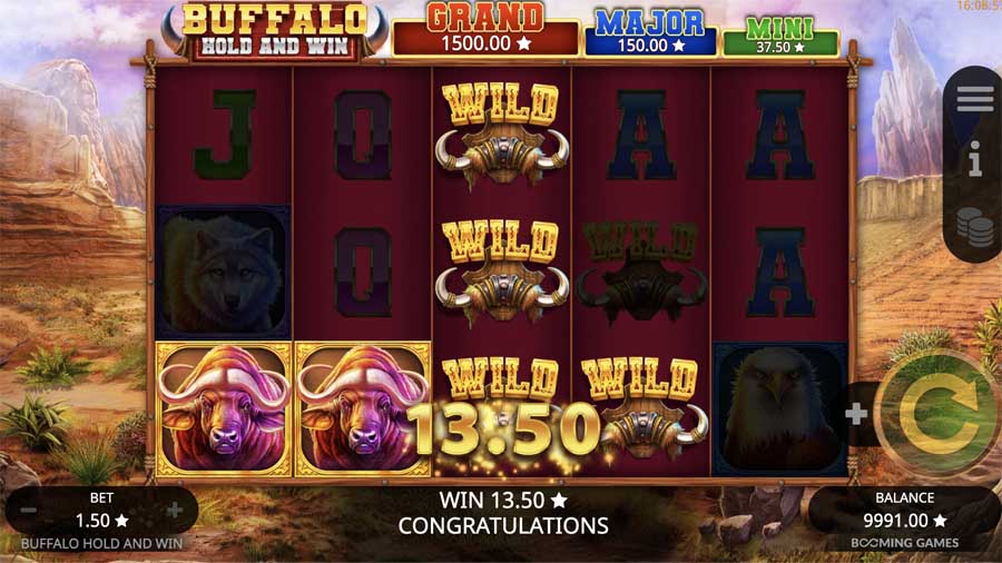 capture decran buffalo hold and win