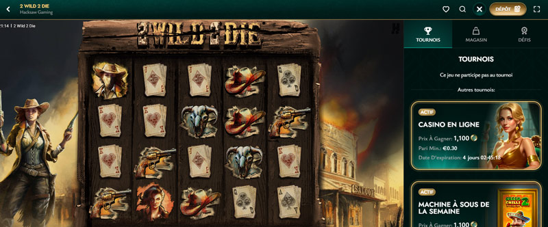 capture-decran-slot-2-wild-2-die-cashed-casino