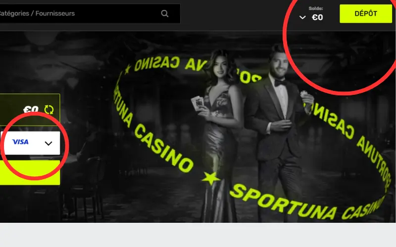 Capture d'écran dépôt Visa étape 2