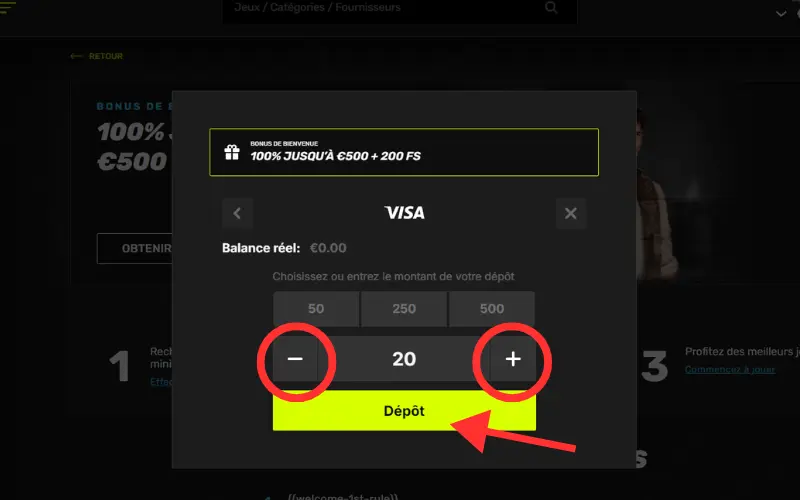 Capture d'écran dépôt Visa étape 4