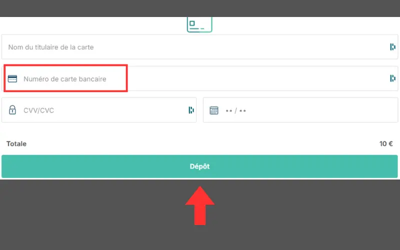 Capture d'écran dépôt Visa étape 5