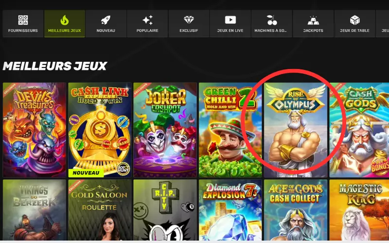 Capture d'écran dépôt Visa étape 6