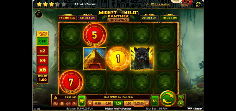 Capture d'écran de la machine à sous Mighty Wild Panther