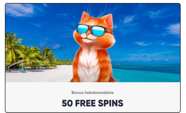 bonus free spins cazimbo casino