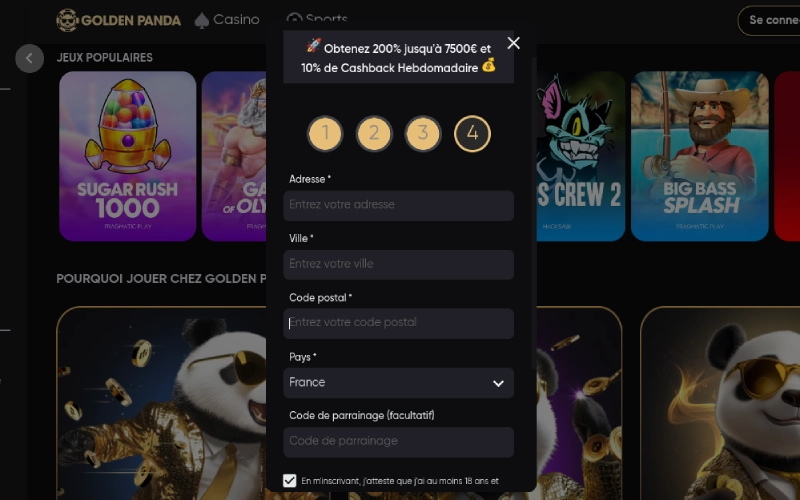capture écran inscription golden panda casino étape 5