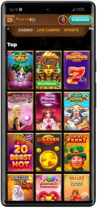 version mobile google pixel 6 pro amunra