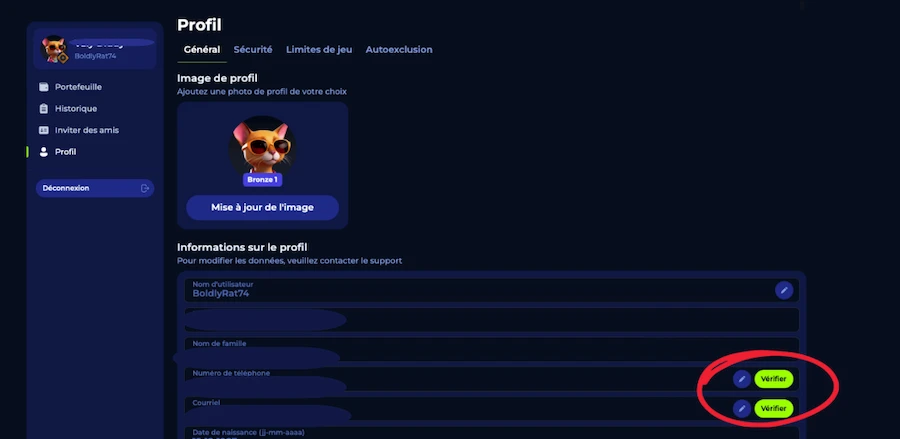 inscription sur Billionnaire Spin étape 4