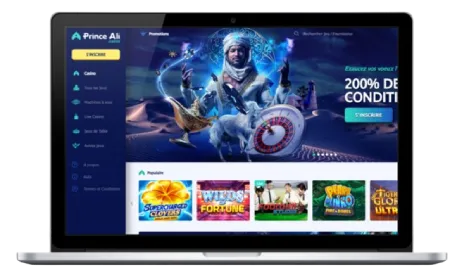 Interface Prince Ali sur ordinateur