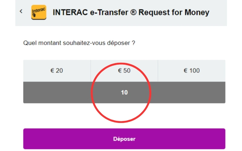 Capture d'écran dépôt Trustly étape 3