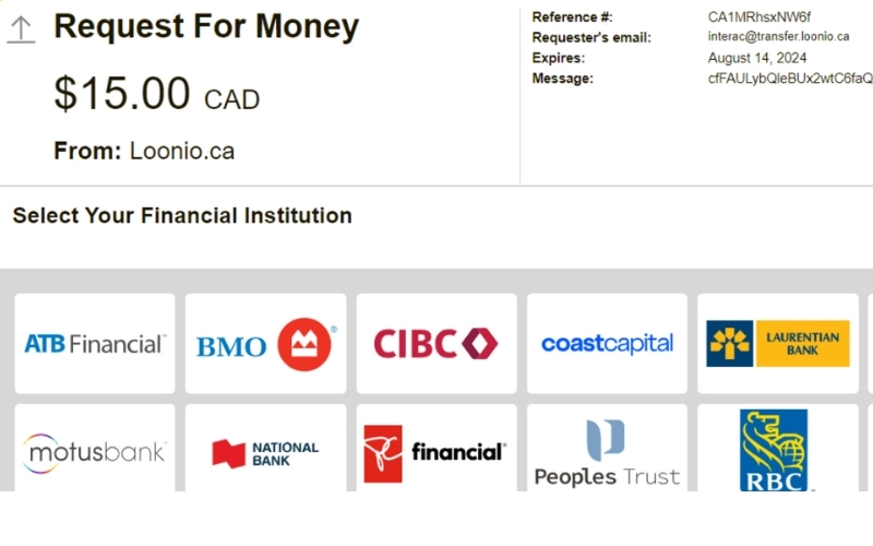 Capture d'écran dépôt Trustly étape 5