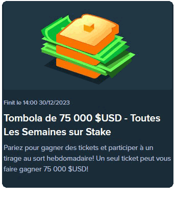 capture decran tombola stake casino