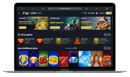 Interface de FelixSpin sur ordinateur