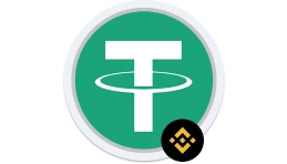 logo USDT BEP20