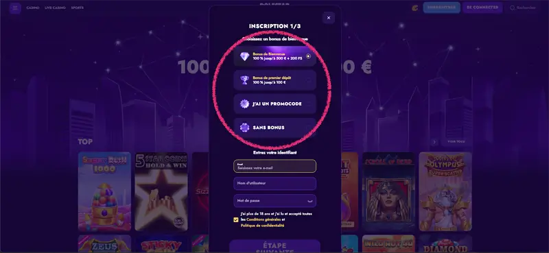 étape 2 inscription polestar