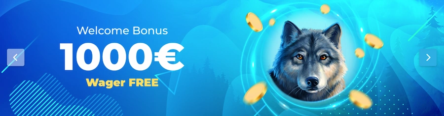 Bonus sans wager Wolfy Casino