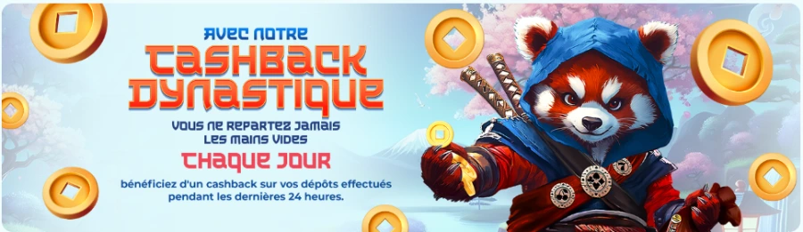 Bonus cashback Spin Dynasty