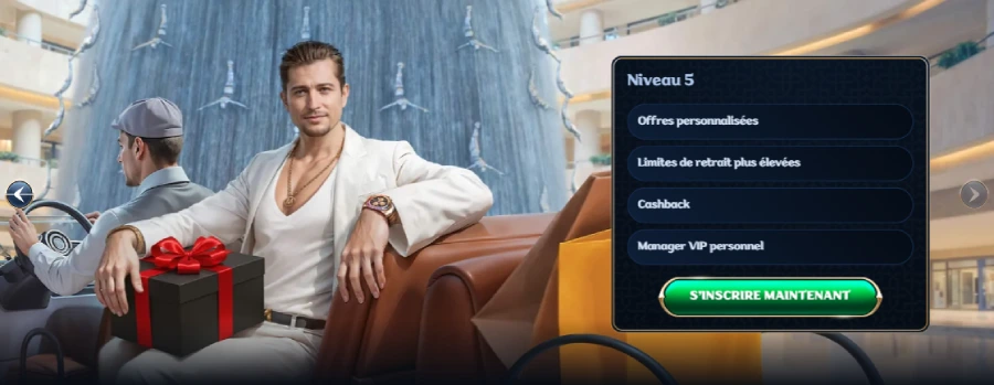 Programme VIP Millioner