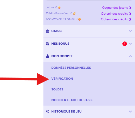 retrait étape 1 spinbara