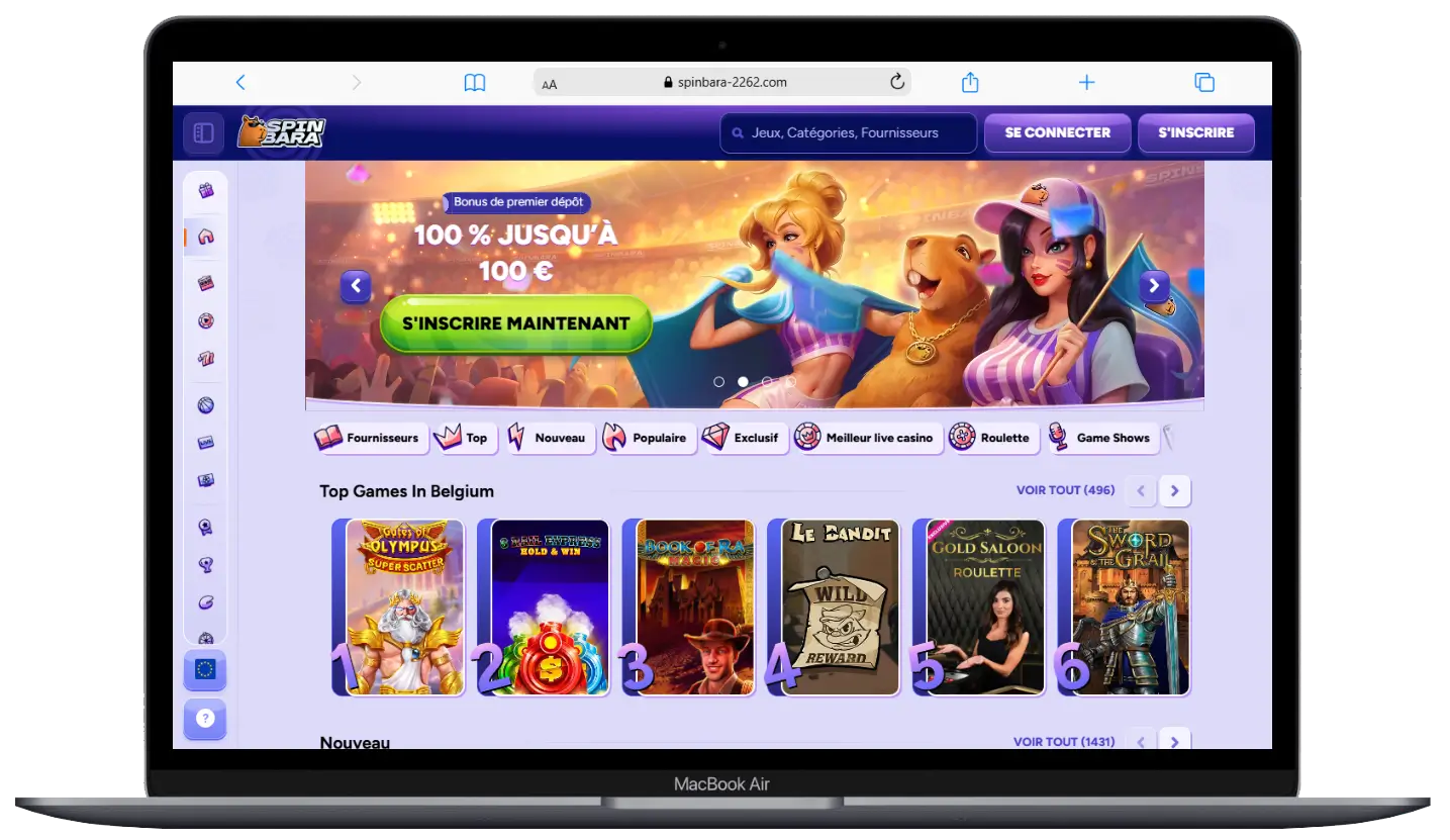 version ordinateur spinbara