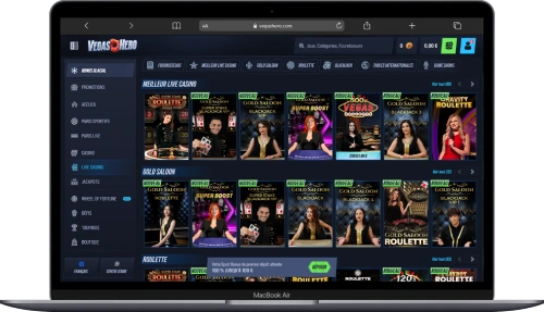 interface ordinateur vegashero