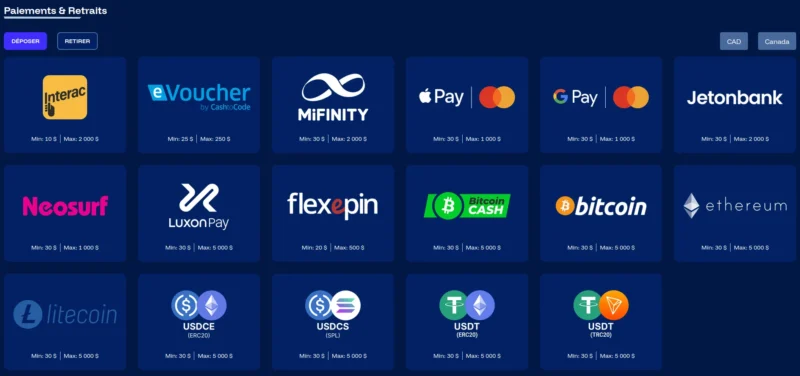 Les méthodes de dépôt disponibles au Canada sur Frostybet casino en ligne.