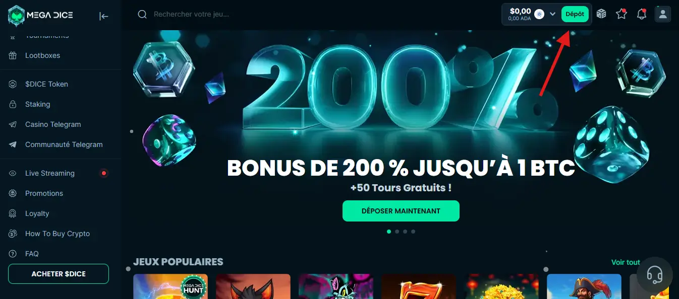 dépôt étape 1 mega dice