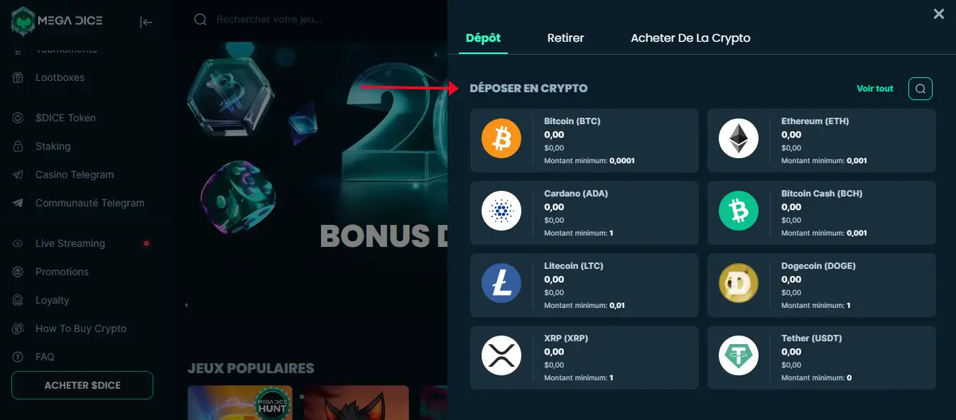 dépôt étape 2 mega dice