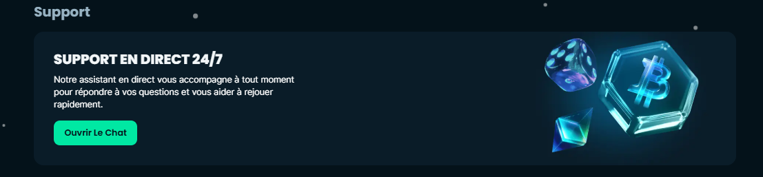 support client mega dice