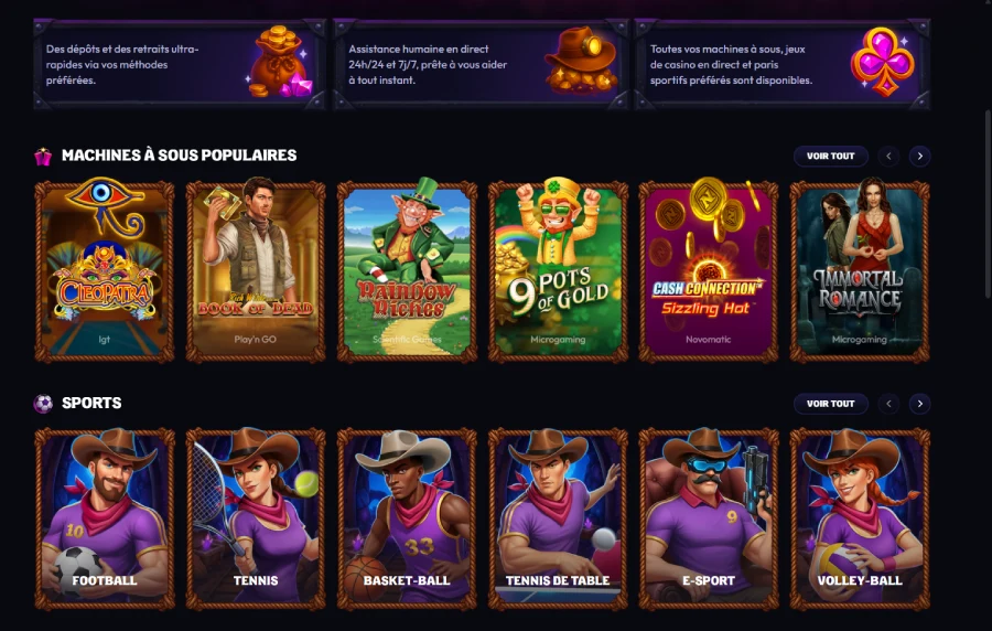 accueil wildzy casino