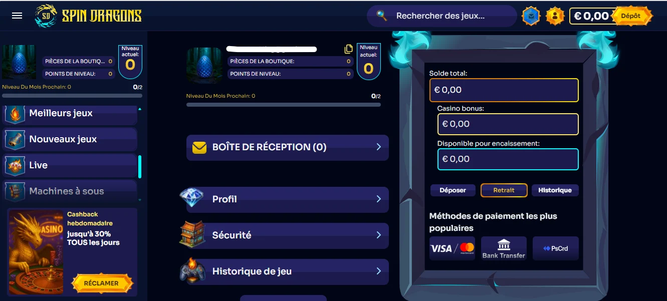 capture d'écran inscription spindragons étape1