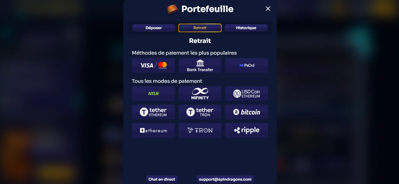 capture d'écran inscription spindragons étape 2