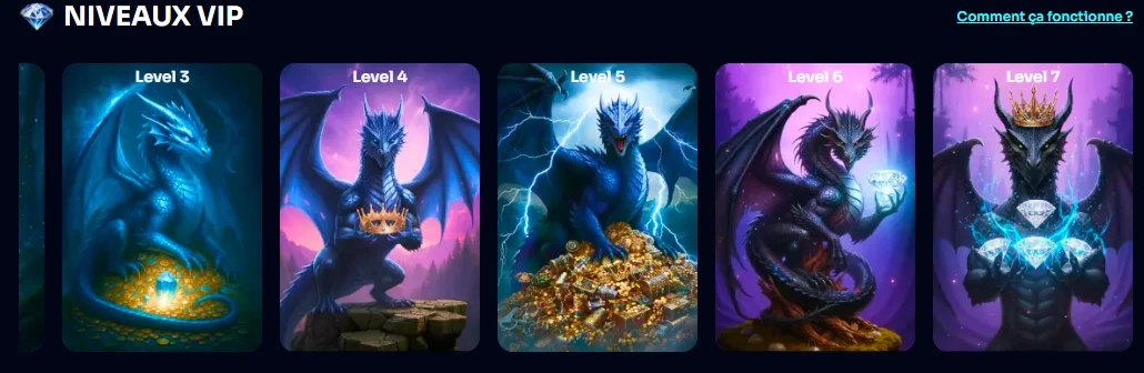 capture d'écran programme vip spindragons