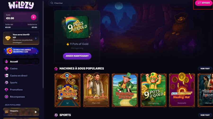 dépôt étape1 wildzy belgique