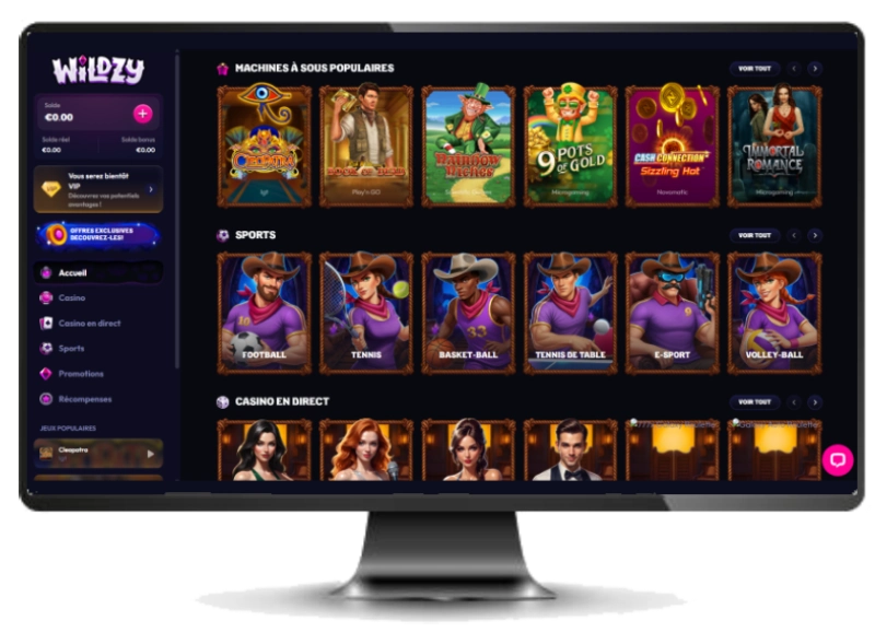 wildzy casino sur ordinateur